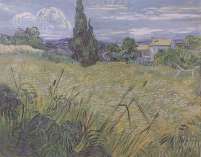Vincent Van Gogh Green Wheat Field with Cypress (nn04) Spain oil painting art